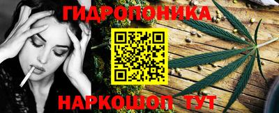 индика Кимры