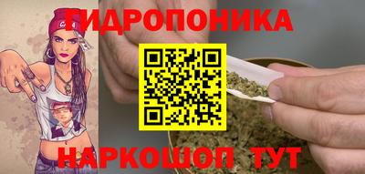 амф Кингисепп