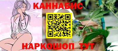 амф Кингисепп