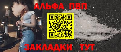 амф Кингисепп