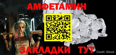 амф Кингисепп