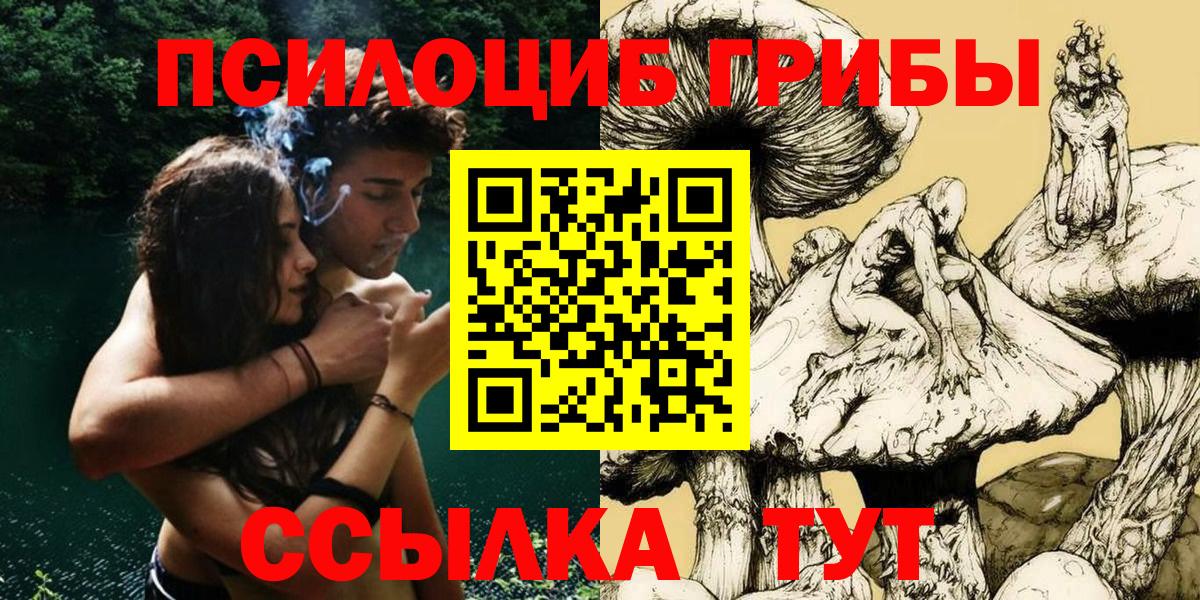 где продают   Псилоцибиновые грибы Psilocybine cubensis  Вход с VPN  Когалым 